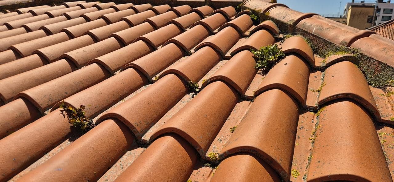 Tejado con musgo antes de la limpieza