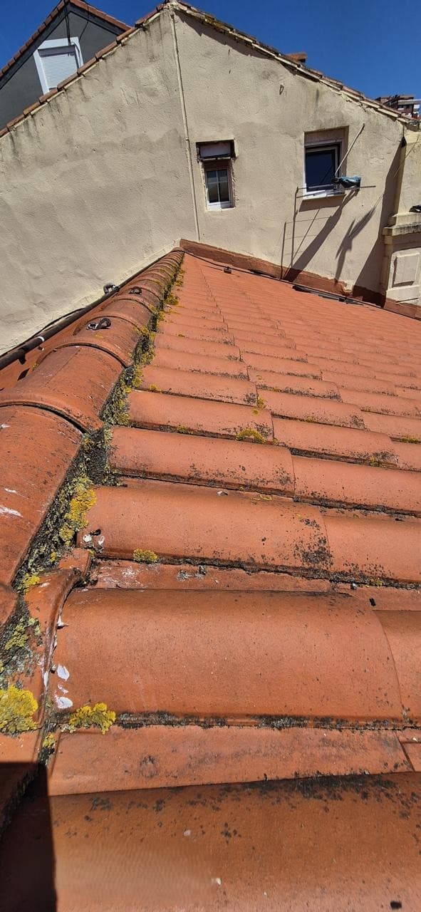 Vista de lado del tejado con musgo