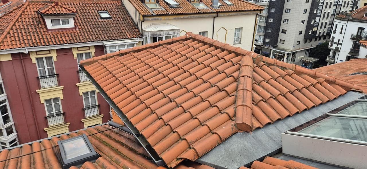 Tejado limpio después de la intervención